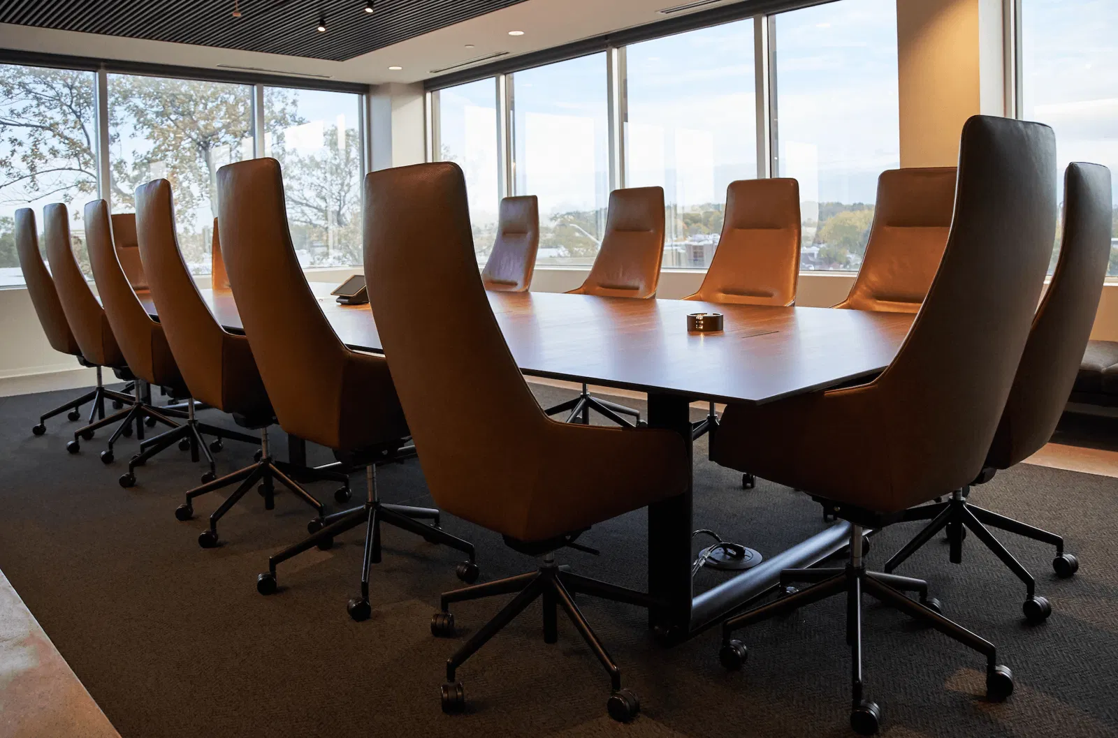 Meeting room: long office table with a lot of chairs. All room covered with windows